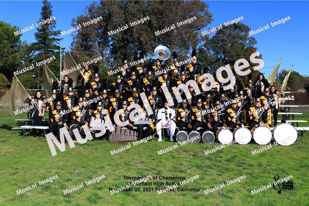 Musical Images